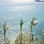 Mykonos Lolita, A Grecotel To Live Hotell