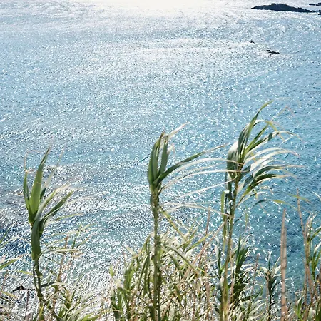 Mykonos Lolita, A Grecotel To Live 리조트