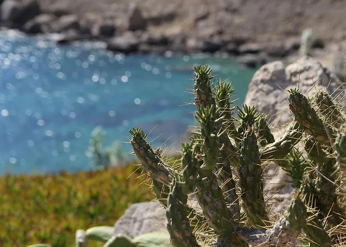 Resort Mykonos Lolita, A Grecotel To Live Agios Sostis (Mykonos)