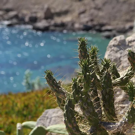 Hotel Mykonos Lolita, A Grecotel To Live Agios Sostis (Mykonos)